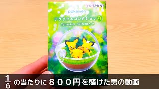 【趣味の動画】８００円のポケモンガチャ「ポケモンテラリウムコレクション９」