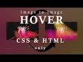 CSS & HTML only tutorial - Change image on hover