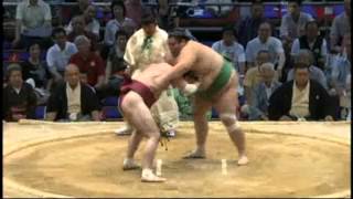 J10e Oniarashi vs J10w Tokushinho