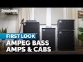 Ampeg’s Latest Venture: Amps, Cabs & Booming Basses