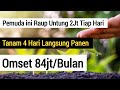 TANAMAN PALING CEPAT MENGHASILKAN UANG DI DUNIA, DALAM WAKTU 4 HARI