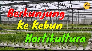 Berkunjung Ke Kebun Hortikultura