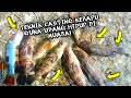 💢HASIL PADU!! GASAK DI LADANG KERAPU JUVENIL