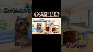 【猫ミーム】見てはいけないモノを見てしまったww #shorts #猫ミーム #猫マニ #実話 #あるある