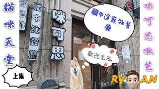 萊拍VLOG|新北三重 咪可思啾芭 貓中途寵物餐廳（上）|RYAN萊恩