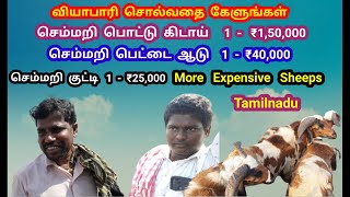 1 செம்மறி கிடாய் - ₹1,50,000 | பெட்டை   ஆடு - ₹40,000 | செம்மறி  குட்டி - ₹25,000 |