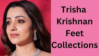 Trisha Krishnan Feet Collections | Bollywood Actresses Feet | Celebrity Feet | Indian Actresses Feet