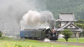 ＳＬ銀河　釜石線　キガラシの花咲く里　2019/07/06　Nikon P1000