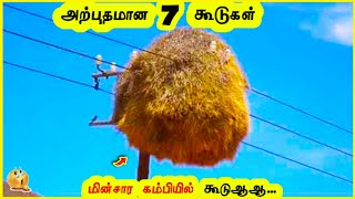 மிரளவைக்கும் வெறித்தனமான 7 கூடுகள்|| Amazing 7 Nests Tamil Galatta News TherinthukolTamizha