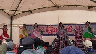 2019.2.10.出張萌えサミット　in　秋芳洞2019　Yamakatsuライブ