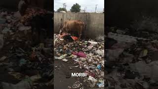 #morbi #city Ni halat | #morbiupdate #shorts #short | aapnu su kahevu Che morbi vise?