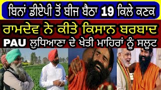 #wheatcropwithoutDAP | ਬਿਨਾਂ ਡੀਏਪੀ ਤੋਂ ਬੀਜ ਬੈਠਾ ਕਣਕ ਕਿਸਾਨ ਕਹਿੰਦਾ ਰਾਮਦੇਵ ਨੇ ਸਾਨੂੰ ਬਰਬਾਦ ਕਰਤਾ #chrhik