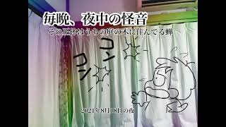 夜中の窓の #ラップ現象 #映像と声日記 #日記 #エッセイ #こえのブログ  #怪奇