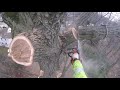 Cutting down a huge oak with a spider lift