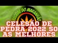 CELESÃO DE PEDRA 2022 SO AS MELHORES