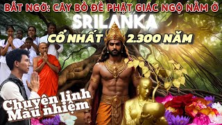 P1. VIẾNG NHỮNG BÁU VẬT DI SẢN PHẬT TÍCH TRÊN KHẮP TG - SRILANKA* NEPAL* BANGLADESH* MYANMAR