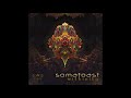 somatoast withinity full ep