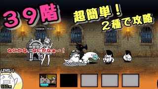 風雲にゃんこ塔    ３９階   ２種で攻略      にゃんこ大戦争