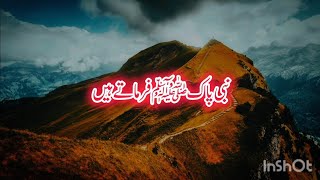 Peer Ajmal Raza Qadri Emotional Bayan Nabi Pak|Islamic bayan short