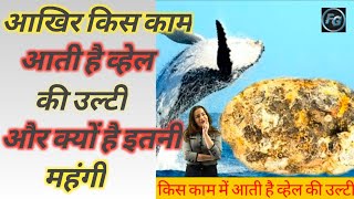 आखिर क्या है व्हेल की उल्टी का इस्तेमाल|whale ki ulti kis kaam me aati hai