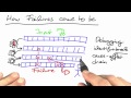 How Failures Come to Be - Software Debugging