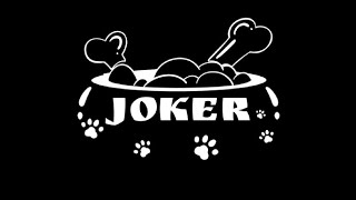 jokers dog training  2-19