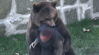 The Most Brutal Bear Attacks Ever Recorded