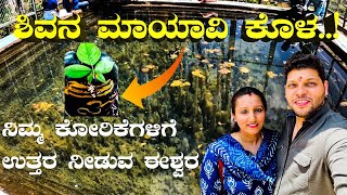 Mysterious Guli Guli Shankara Temple Pond | ಶಿವನ ಮಾಯಾವಿ ಕೊಳ