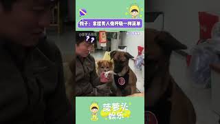 狗子：這輩子最大的遺憾就是沒能為你生下一兒半女~#狗子成精了 #狗子迷惑行為 #搞笑