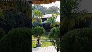 Inayah Cafe and Restaurant || Sylhet || Bangladesh #shorts #travel #cafe #best #restaurant #sylhet