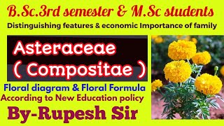 Asteraceae (Compositae) Family Characteristics #taxonomy #systematicbotany #rupeshsirbotany