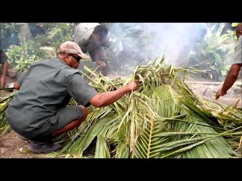 What is a traditional Fiji lovo experience?