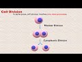 haploid vs diploid cell and cell division