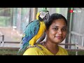 pq exotic birds park kochi one day trip places in kerala ernakulam kochi