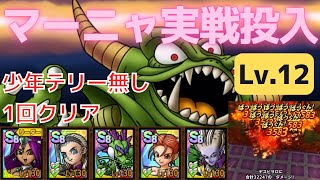 【ドラクエタクト】超巨大ボスバトル、デスピサロLv.12でマーニャを実戦投入！！やはりドラゴラムが強すぎた！！