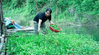 How To Hunt At Night And Gathering Firewood Plus Forest Vegetable Cooking River Survival
