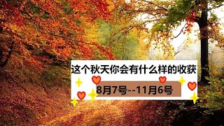 立秋占卜~~这个秋天的收获？Aminta塔罗占卜，神谕卡解读