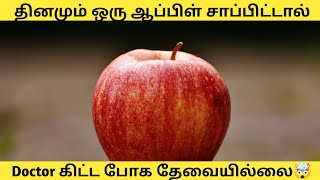 ஒரு ஆப்பிள் சாப்பிடுவதால் ஏற்படும் நன்மைகள் | Interesting facts about apple