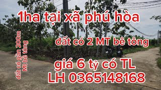 1 ha đất tại xã phú hòa . đất có 2 mặt tiền bê tông . gần 200m Mt bê tông