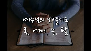 이재진 선교사 - 예수님의 보혈기도 07강 / 목 / 어깨 / 등 / 팔