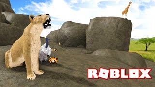 Roblox Wild Savannah 2 A Day In The Life As A Stork Gazelle Crocodile - roblox wild savannah updates