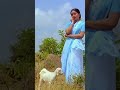 குழல் ஊதும் கண்ணனுக்கு 🎵🎼🎼🎵