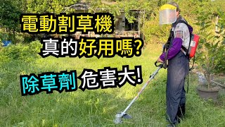 電動割草機為什麼好用？魔力牌電動割草機實際割草作業，安全又省時省力的割草工具 | 阿星種植