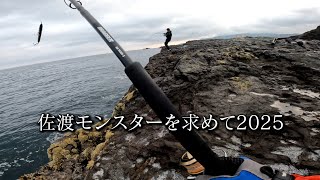 佐渡モンスターを求めて2025