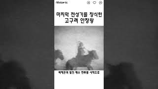 고구려의 마지막 전성기를 장식했던 안장왕