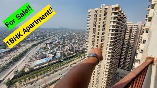 Noida में इससे Best 1BHK Society Apartment नहीं मिलेगा सस्ता भी और अच्छा भी||1BHK Flat Noida||Saurya