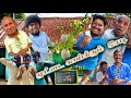 ஒரு நாளைக்கு 40 முட்டை வளரும் இந்த செடியில் முட்டை செடி அலப்பறை | Pana Matta