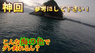 神回【グレ釣り】時化で湾内！こんな海の色でグレは釣れるのか？