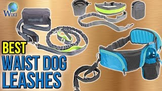 10 Best Waist Dog Leashes 2017