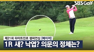 [2021 KLPGA] 이거 뭔가요? 새? 낙엽? 의문의 물체 정체는?_하이트진로 1R